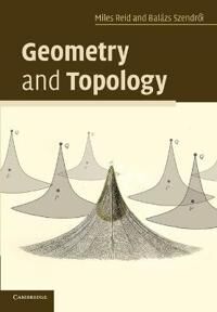 Geometry And Topology Av Miles (University Of Warwick) Reid, Balazs (Universiteit Utrecht The Netherlands) Szendroi