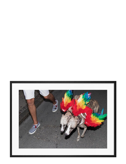 Democratic Gallery Poster Rainbow Dogs - Red - 50X70 Democratic Gallery Poster Rainbow Dogs - Red - 50X70