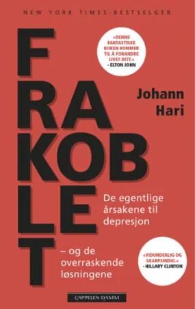 Frakoblet Av Johann Hari
