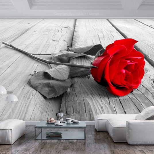 Fototapet Abandoned Rose 300x210 - Finnes i flere størrelser