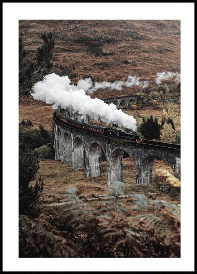 Steam Train Plakat Plakat / 100x150cm
