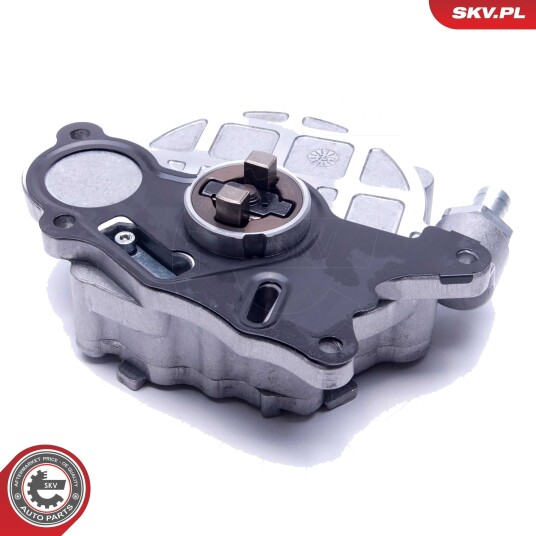 Vakuumpumpe bremseanlegg ESEN SKV 18SKV032