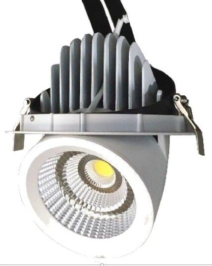 Ledlife 30W Kjøtt Downlight Justerbar vinkel spesiallys for kjøtt Dimbar : Ikke dimbar Kulør : Kød