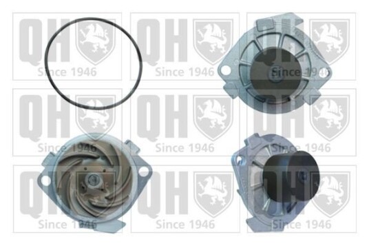 QUINTON HAZELL QCP4220 Vannpumpe