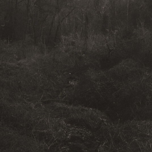 Transient