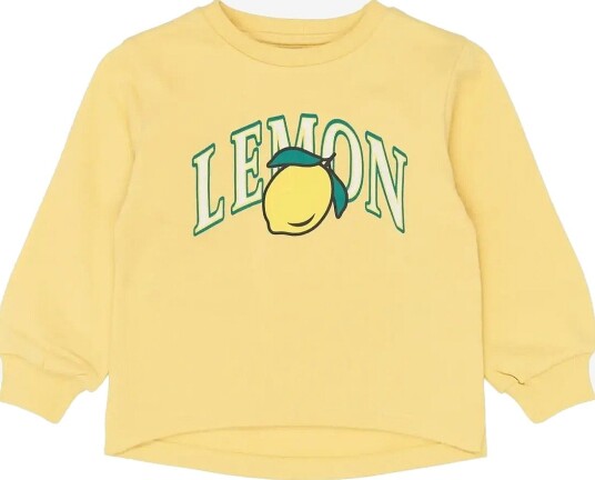 THE NEW SIBLINGS Tnstshelby Sweatshirt   DUSKY CITRON   92