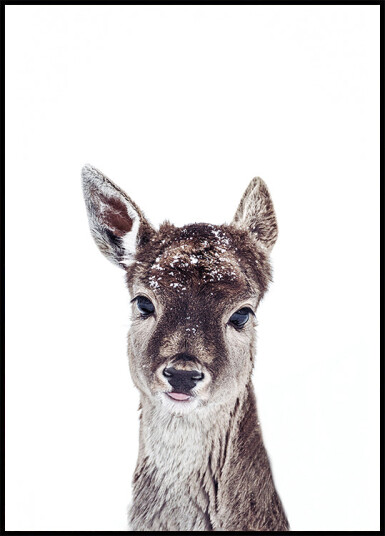 Little Fawn Fiona Plakat Plakat / 70x100cm
