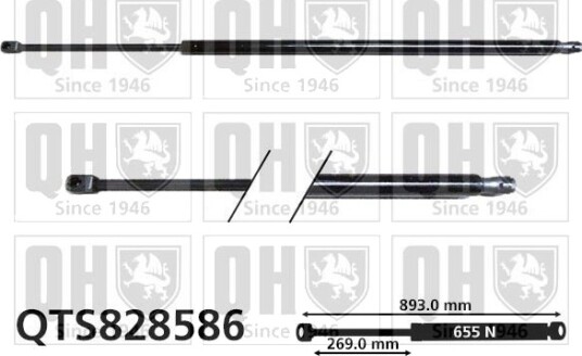 QUINTON HAZELL QTS828586 Baklukedemper