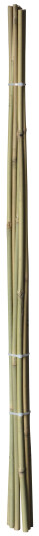 Home It®Bambuspinde Ø10 Mm X 60 Cm 4 Stk.