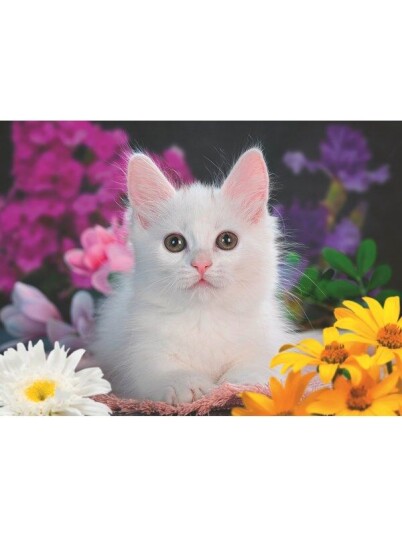 Ravensburger Hvit Kitten 100p Ravensburger Hvit Kitten 100p