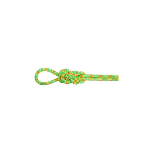 Mammut 8.0 Alpine Core Protect Dry Rope 50m Halo vibrant Orange One size Mammut 8.0 Alpine Core Protect Dry Rope 50m Halo vibrant Orange One size