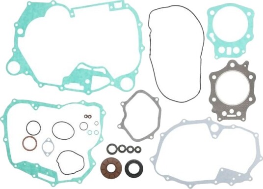 Tetnings helsett motor WINDEROSA 811859