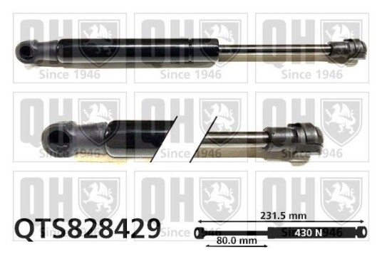 Baklukedemper QUINTON HAZELL QTS828429