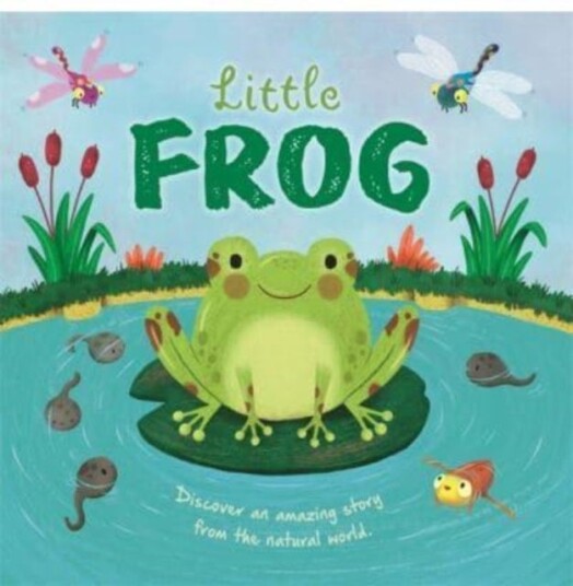 Little Frog Little Frog