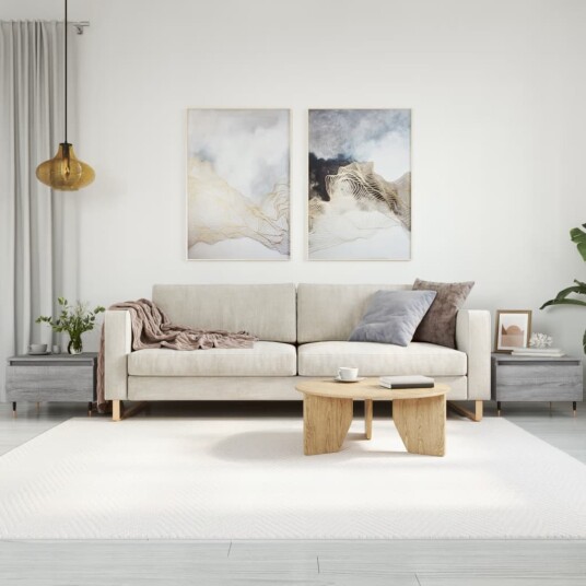 Salongbord 2 stk grå sonoma 50x46x35 cm konstruert tre 8721012111684 Salongbord 2 stk grå sonoma 50x46x35 cm konstruert tre 8721012111684