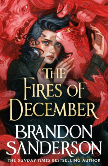 The Fires of December  A Novel of Hoid’s Travails