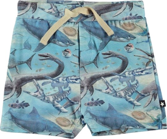 Molo ShortSimroy   Gamle Ocean   Molo   74   Shorts   Blå
