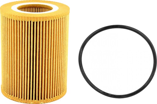 Oljefilter Professional Parts 22430013