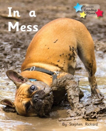 In a Mess Phonics Phase 2