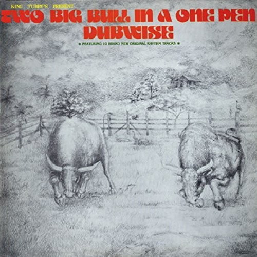 King Tubby's Two Big Bull In A One Pen CD