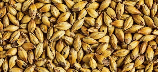 Simpsons DRC® Malt 250g Hel 280-320 EBC - Simpsons Malt