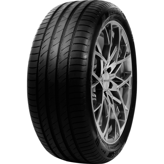 Delinte DS2 225/55R17 101W