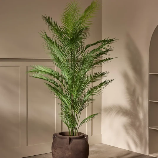 Mr Plant Arekapalme 150 cm Mr Plant Arekapalme 150 cm