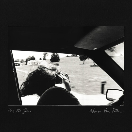 Sharon Van Etten Are We There LP/Vinyl Sharon Van Etten Are We There LP/Vinyl