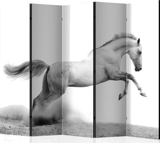 Romdeler - White gallop II 225x172 - Artgeist sp. z o. o.