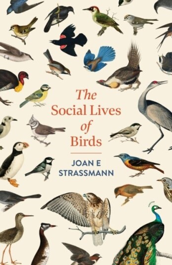 The Social Lives of Birds The Social Lives of Birds