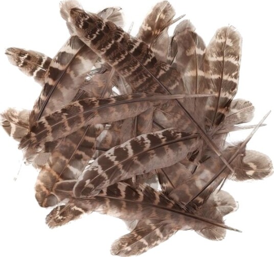 Andefjær 15–20 Cm 5 G