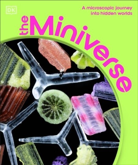 The Miniverse The Miniverse