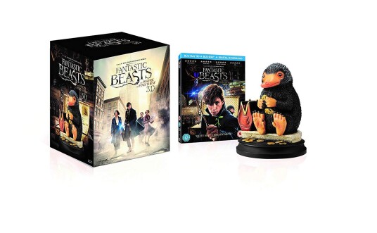 Fantastic Beasts And Where To Find Them