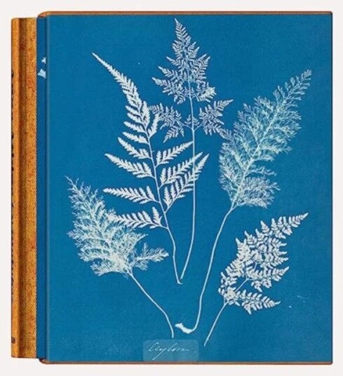 Anna Atkins. Cyanotypes av Peter Walther