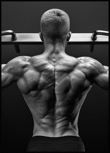 Back Fitness Plakat Plakat / 40x50cm
