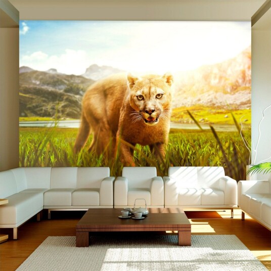Fototapet Watch Out! 150x105 - Artgeist sp. z o. o.