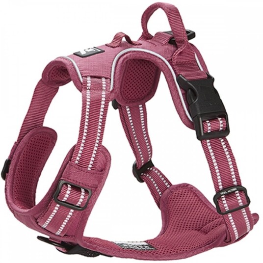 Feel Active Training Hundesele Vinrød XS