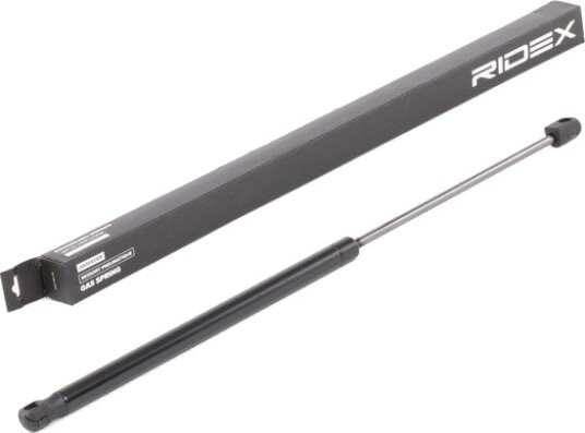 RIDEX 219G0710 Baklukedemper