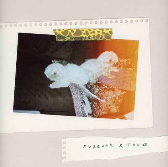 Sales Forever Ever Uk Vinyl