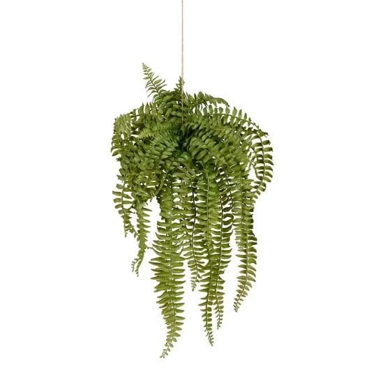 Mr Plant Bregne Hengeplante 53 cm Mr Plant Bregne Hengeplante 53 cm