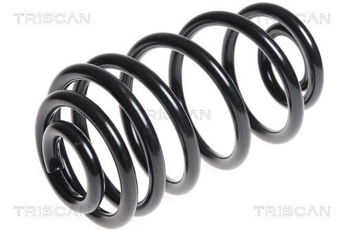 Fjær TRISCAN 8750 24168