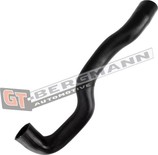 GT BERGMANN GT52 653 Ladeluftslange