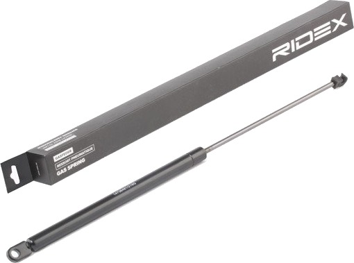 RIDEX 219G0931 Baklukedemper