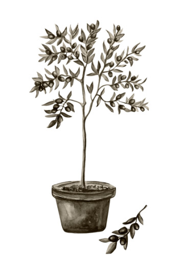 Venture Home Poster Olive 1703392-01-48