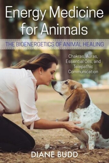 Energy Medicine For Animals Av Diane Budd