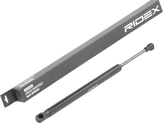 RIDEX 219G0872 Baklukedemper