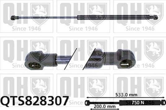 QUINTON HAZELL QTS828307 Baklukedemper QUINTON HAZELL QTS828307 Baklukedemper