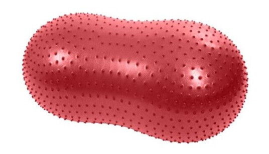 Kruuse Physio Tactile Peanut