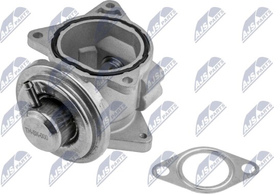 EGR Ventil NTY EGR-SK-000
