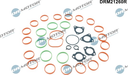 Tetningssett, innsugningsmanifold DR.MOTOR AUTOMOTIVE DRM21260R Tetningssett, innsugningsmanifold DR.MOTOR AUTOMOTIVE DRM21260R